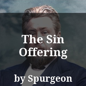 The Sin Offering