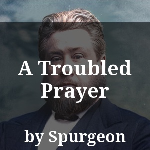 A Troubled Prayer