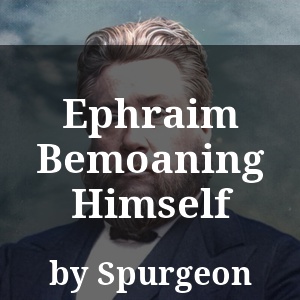 Ephraim Bemoaning Himself