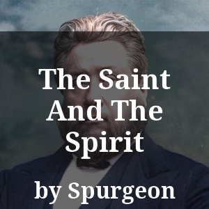 The Saint And The Spirit