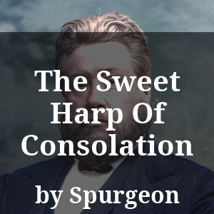 The Sweet Harp Of Consolation