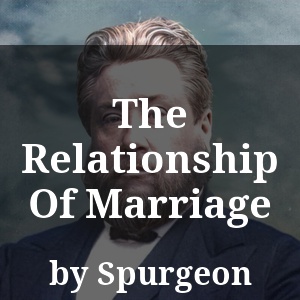 The Relationship Of Marriage