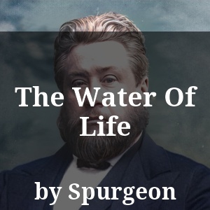 The Water Of Life