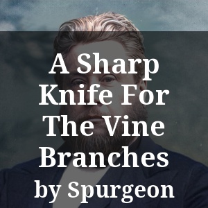 A Sharp Knife For The Vine Branches