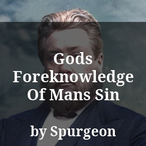 Gods Foreknowledge Of Mans Sin