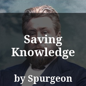 Saving Knowledge