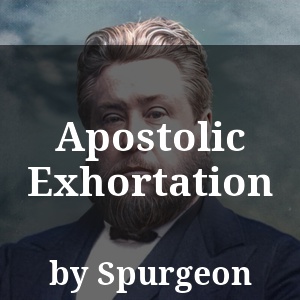 Apostolic Exhortation