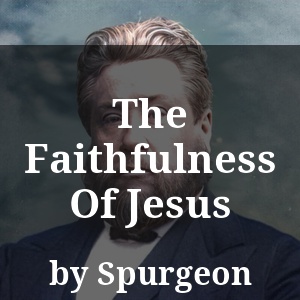 The Faithfulness Of Jesus