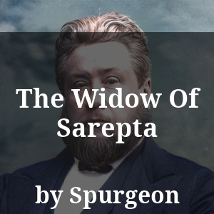 The Widow Of Sarepta