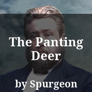 The Panting Deer