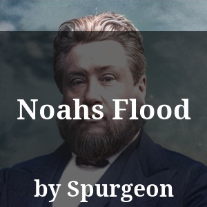 Noahs Flood