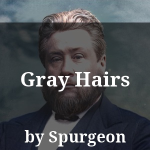 Gray Hairs