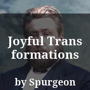 Joyful Transformations