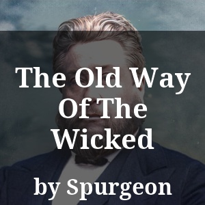 The Old Way Of The Wicked