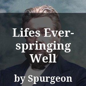 Lifes Ever-springing Well