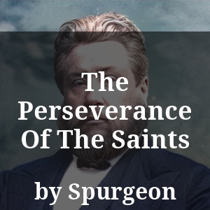 The Perseverance Of The Saints