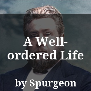 A Well-ordered Life