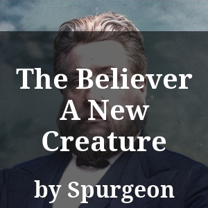 The Believer A New Creature