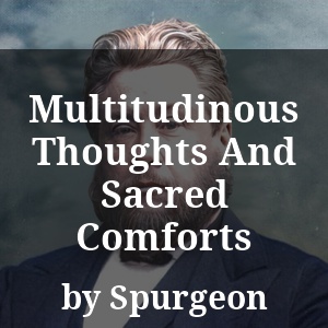 Multitudinous Thoughts And Sacred Comforts