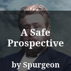 A Safe Prospective