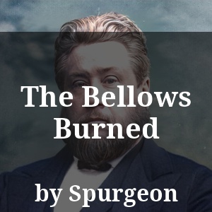 The Bellows Burned