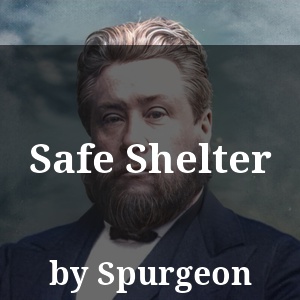 Safe Shelter