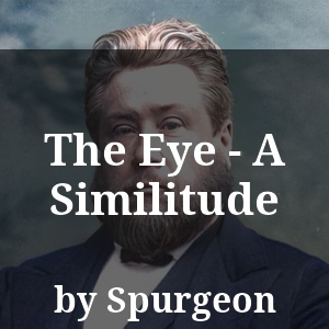 The Eye - A Similitude