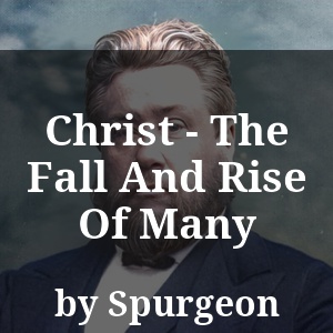 Christ - The Fall And Rise Of Many