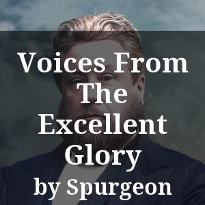 Voices From The Excellent Glory