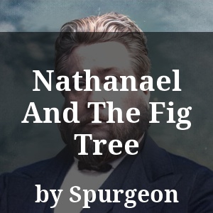 Nathanael And The Fig Tree