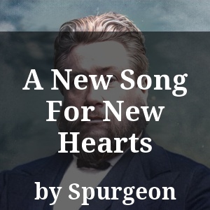 A New Song For New Hearts