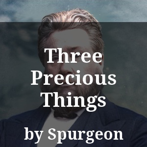 Three Precious Things