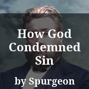 How God Condemned Sin