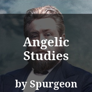 Angelic Studies