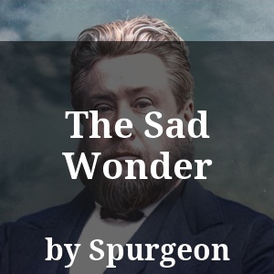 The Sad Wonder