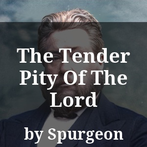 The Tender Pity Of The Lord