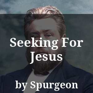 Seeking For Jesus