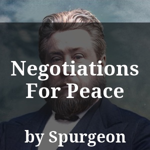 Negotiations For Peace