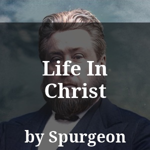 Life In Christ