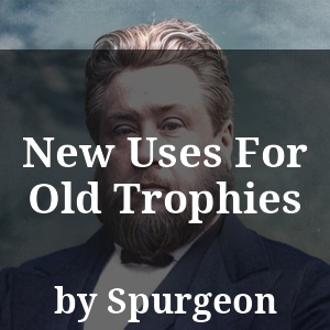 New Uses For Old Trophies