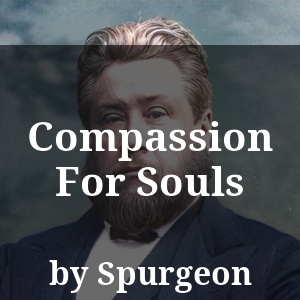 Compassion For Souls