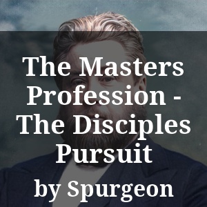 The Masters Profession - The Disciples Pursuit