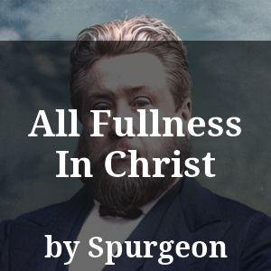 All Fullness In Christ