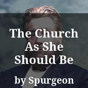 The Church As She Should Be