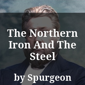 The Northern Iron And The Steel