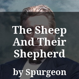 The Sheep And Their Shepherd