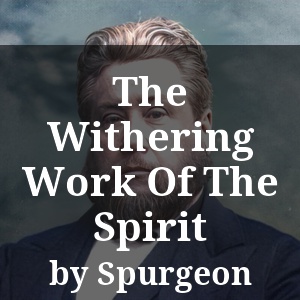 The Withering Work Of The Spirit