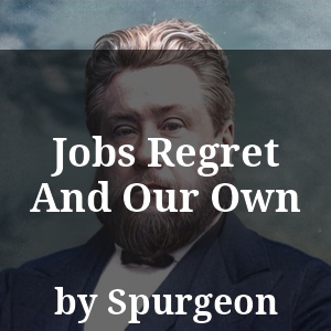 Jobs Regret And Our Own