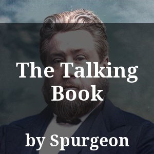 The Talking Book