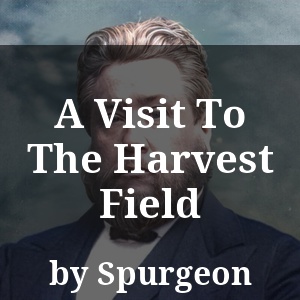 A Visit To The Harvest Field